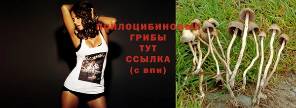 дурь Липки