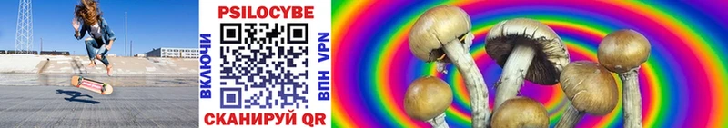 Галлюциногенные грибы Psilocybine cubensis гидра tor Ессентукская купить наркоту